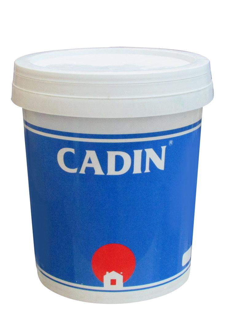 Mastic dẻo trắng nội & ngoại thất không nứt cho tường CADIN A161