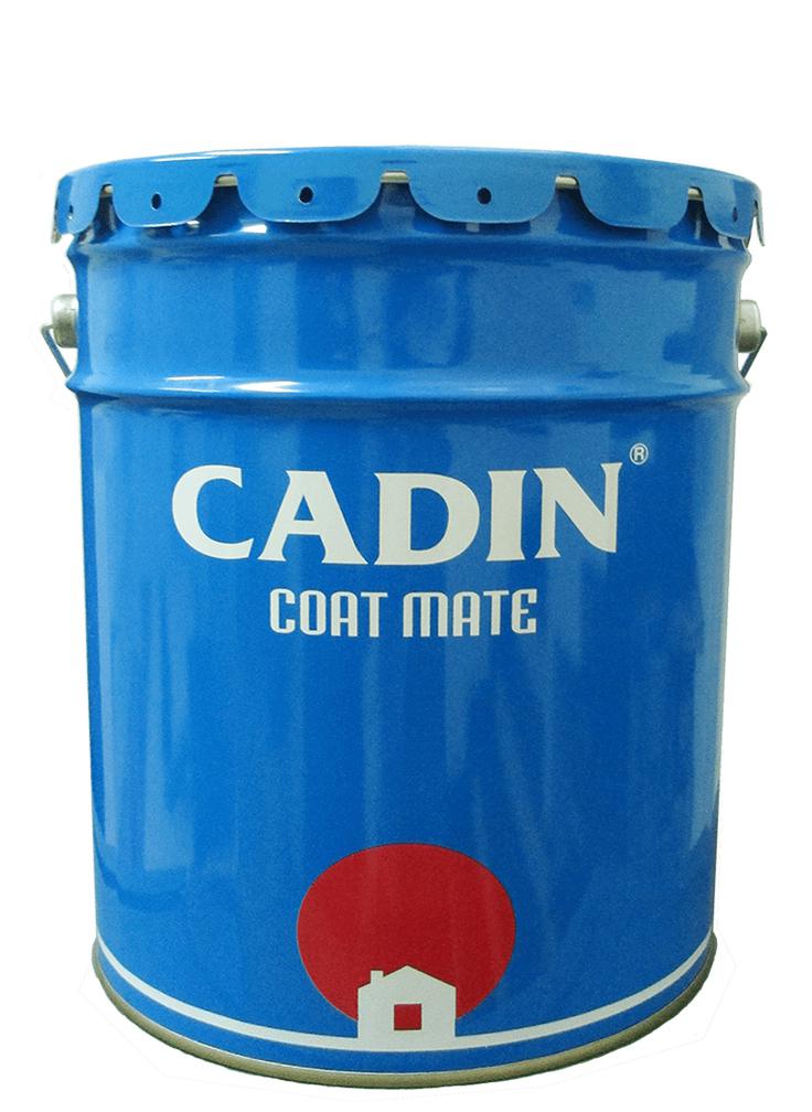 Sơn lót Epoxy hệ dung môi màu trong cho bê tông CADIN A210